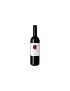Enate Merlot-Merlot 2019