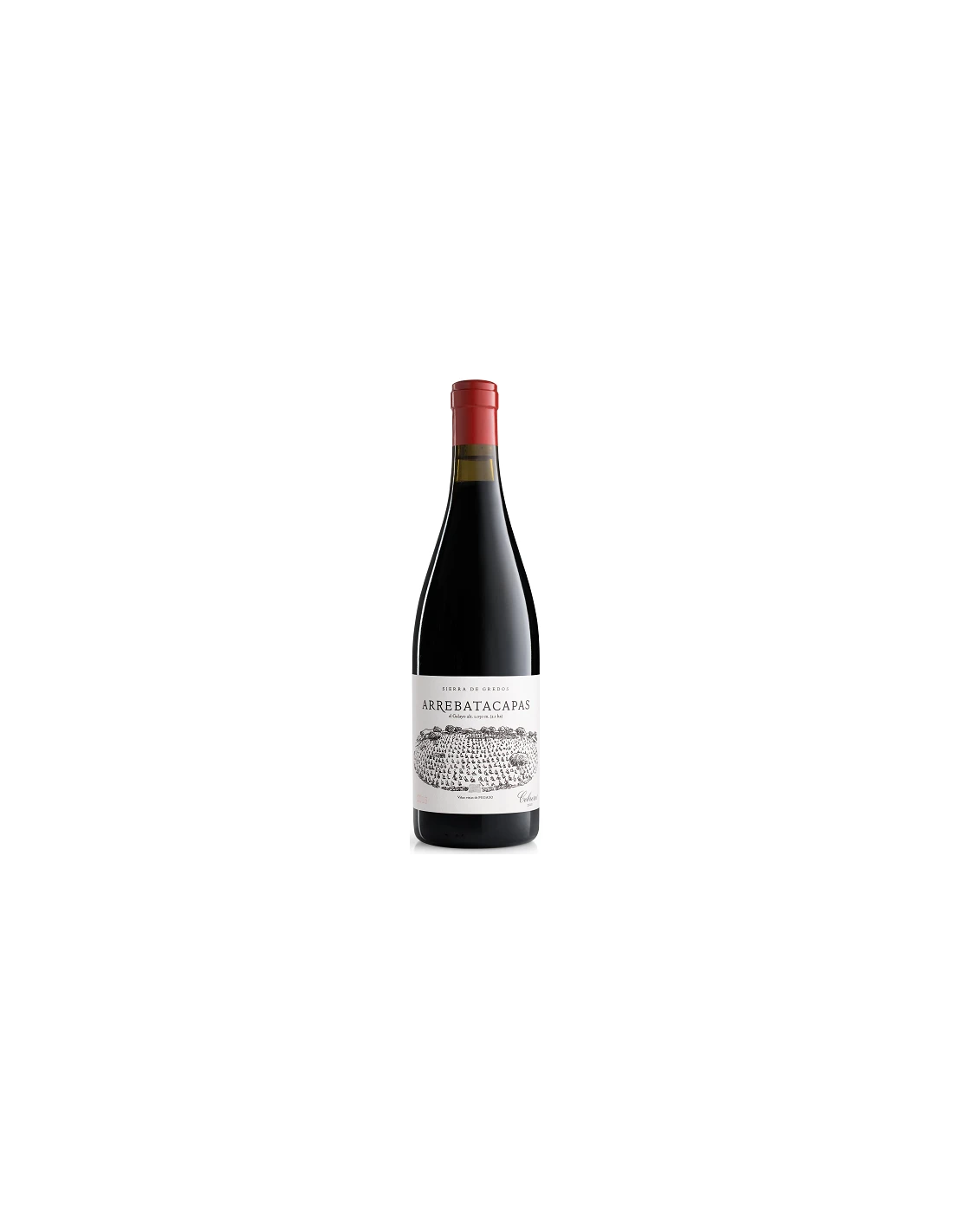 Pegaso Arrebatacapas 2018 1 Pegaso Arrebatacapas 2018